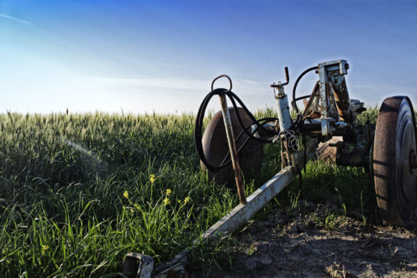 farm wage theft