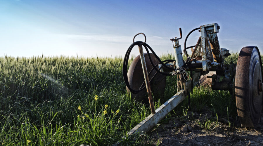 farm wage theft